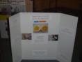 /album/photo-gallery-homepage/science-fair-030-jpg/